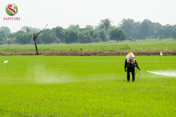 Lưu ý sử dụng và Hướng dẫn an toàn