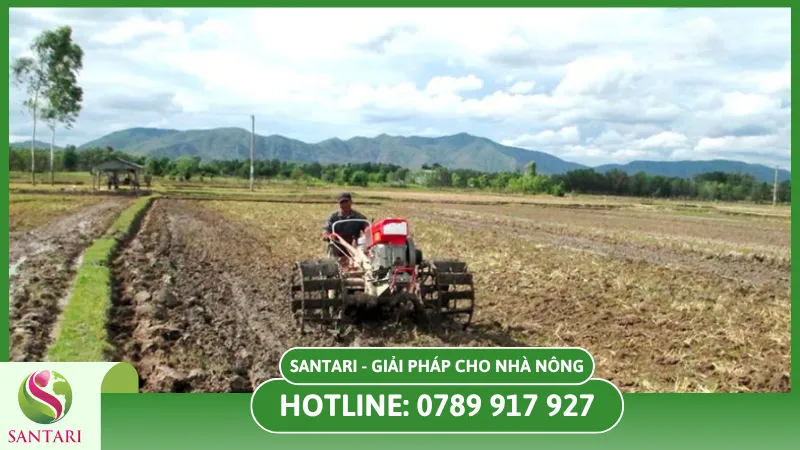 Làm đất trồng rau mùa mưa