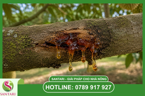 Cơ chế phá hủy mạch dẫn: Con đường dẫn đến cái chết của cây
