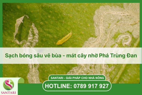 Sạch bóng sâu vẽ bùa - mát cây nhờ Phá Trùng Đan