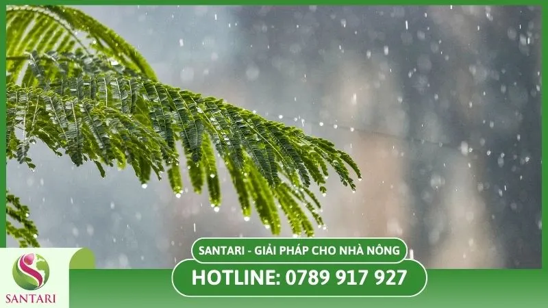 Thời tiết lạnh