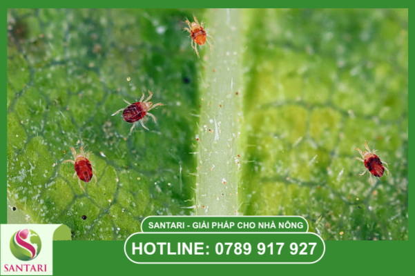 Câu hỏi thường gặp 