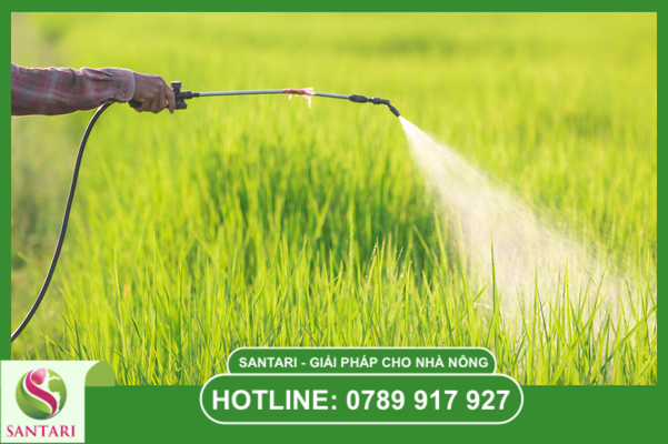 Hướng dẫn sử dụng chi tiết từ chuyên gia