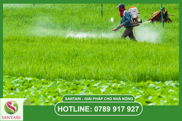 Câu hỏi thường gặp