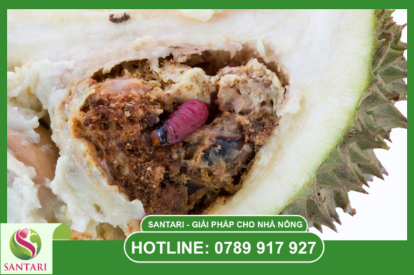 Câu hỏi thường gặp