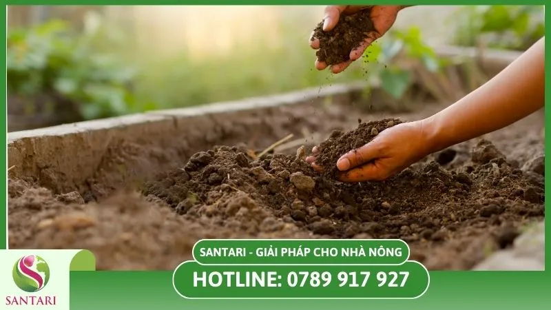 Cải tạo đất