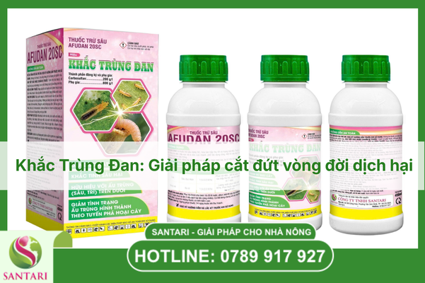Khắc Trùng Đan: Giải pháp cắt đứt vòng đời dịch hại.