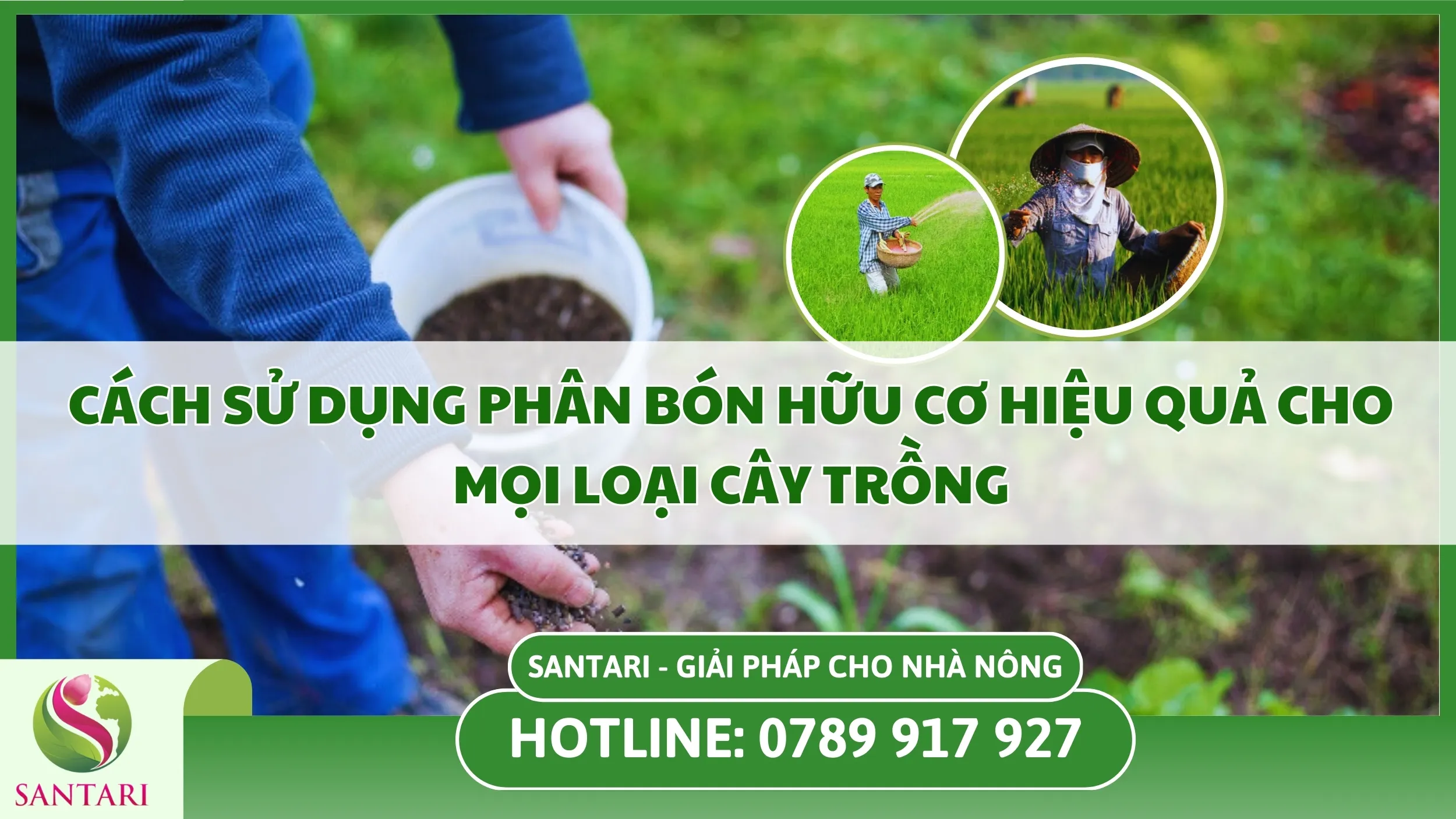 Cách Sử Dụng Phân Bón Hóa Học Hiệu Quả Cho Cây Trồng