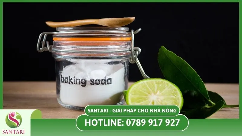 Baking soda