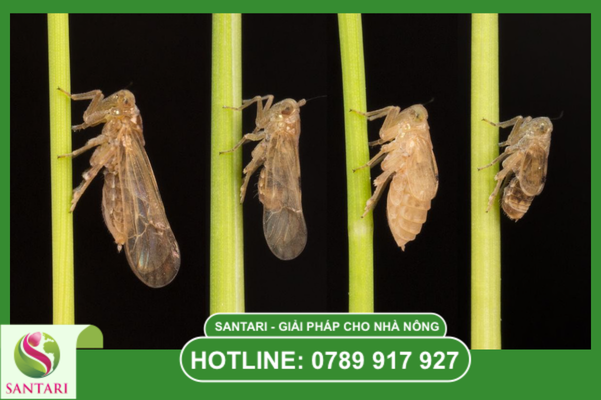 Câu hỏi thường gặp