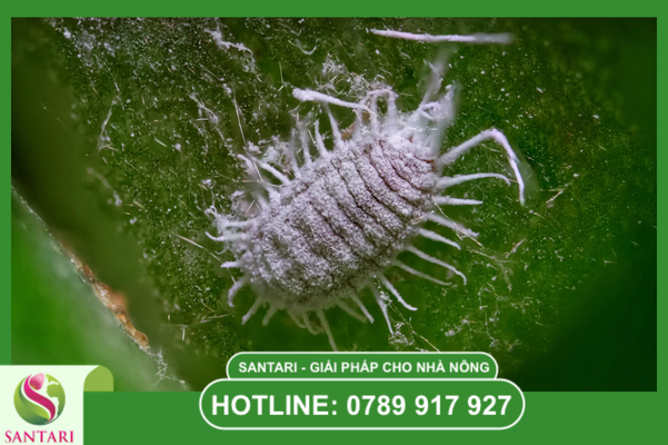 Câu hỏi thường gặp