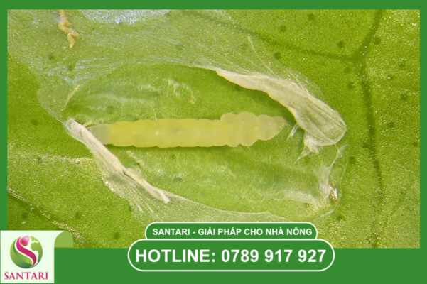 Câu hỏi thường gặp