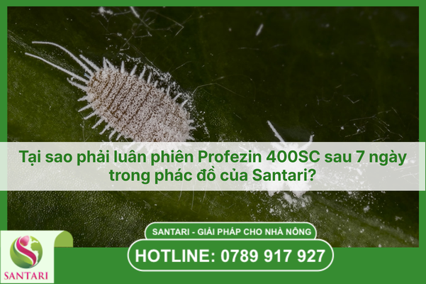 Tại sao phải luân phiên Profezin 400SC sau 7 ngày trong phác đồ của Santari?