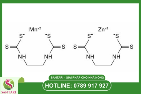 Bản chất sinh học của hoạt chất Mancozeb