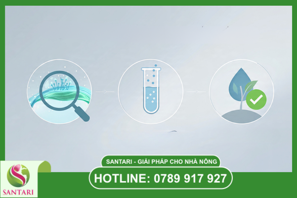 Công nghệ SC - Nền tảng của sự hiệu quả đột phá