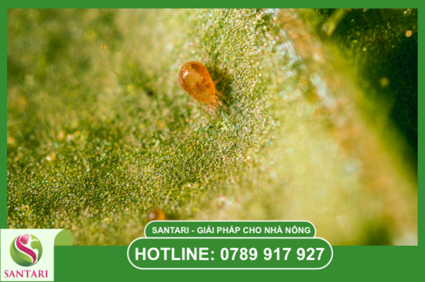 Câu hỏi thường gặp 