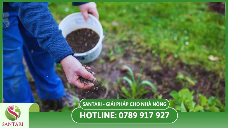 Cách bón phân hiệu quả cho cây trồng mùa khô