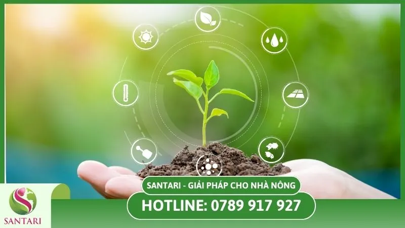 Ưu tiên giải pháp tổng thể