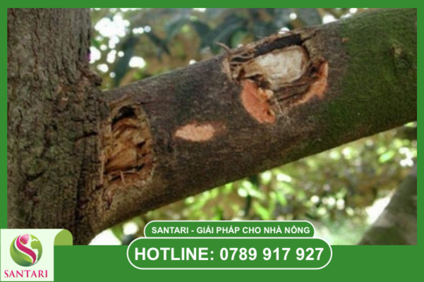 Câu hỏi thường gặp