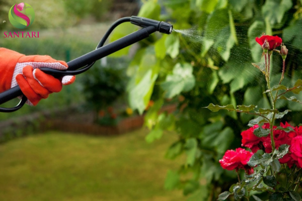 Lưu ý sử dụng Thuốc trừ sâu BP.NEWONE 500SC