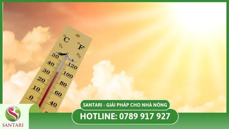 Nhiệt độ tăng cao