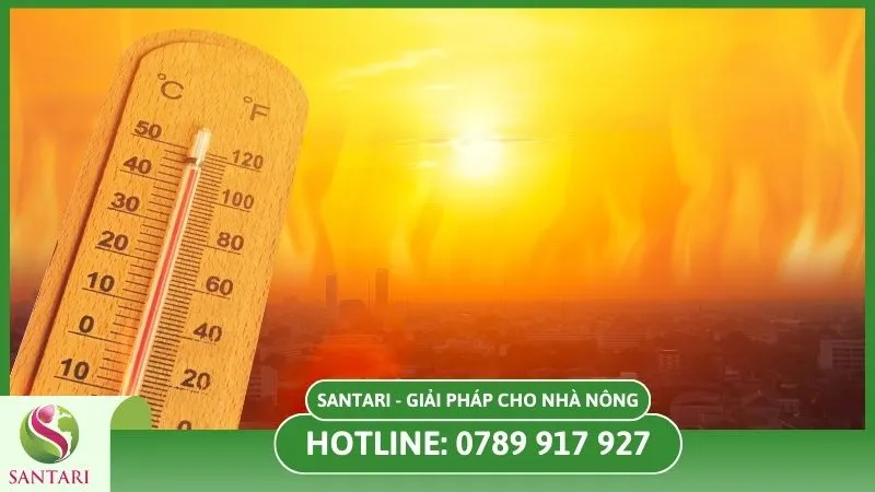 Nhiệt độ quá cao