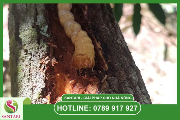 Câu hỏi thường gặp