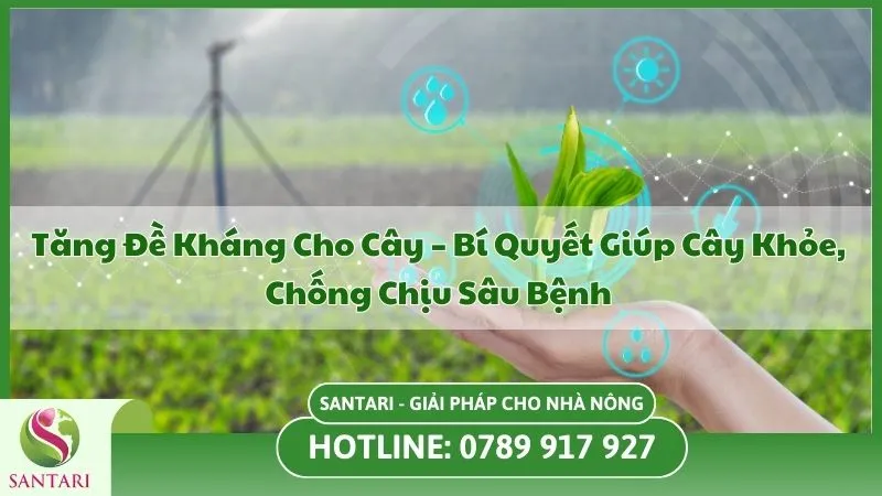Tăng Đề Kháng Cho Cây – Bí Quyết Giúp Cây Khỏe, Chống Chịu Sâu Bệnh