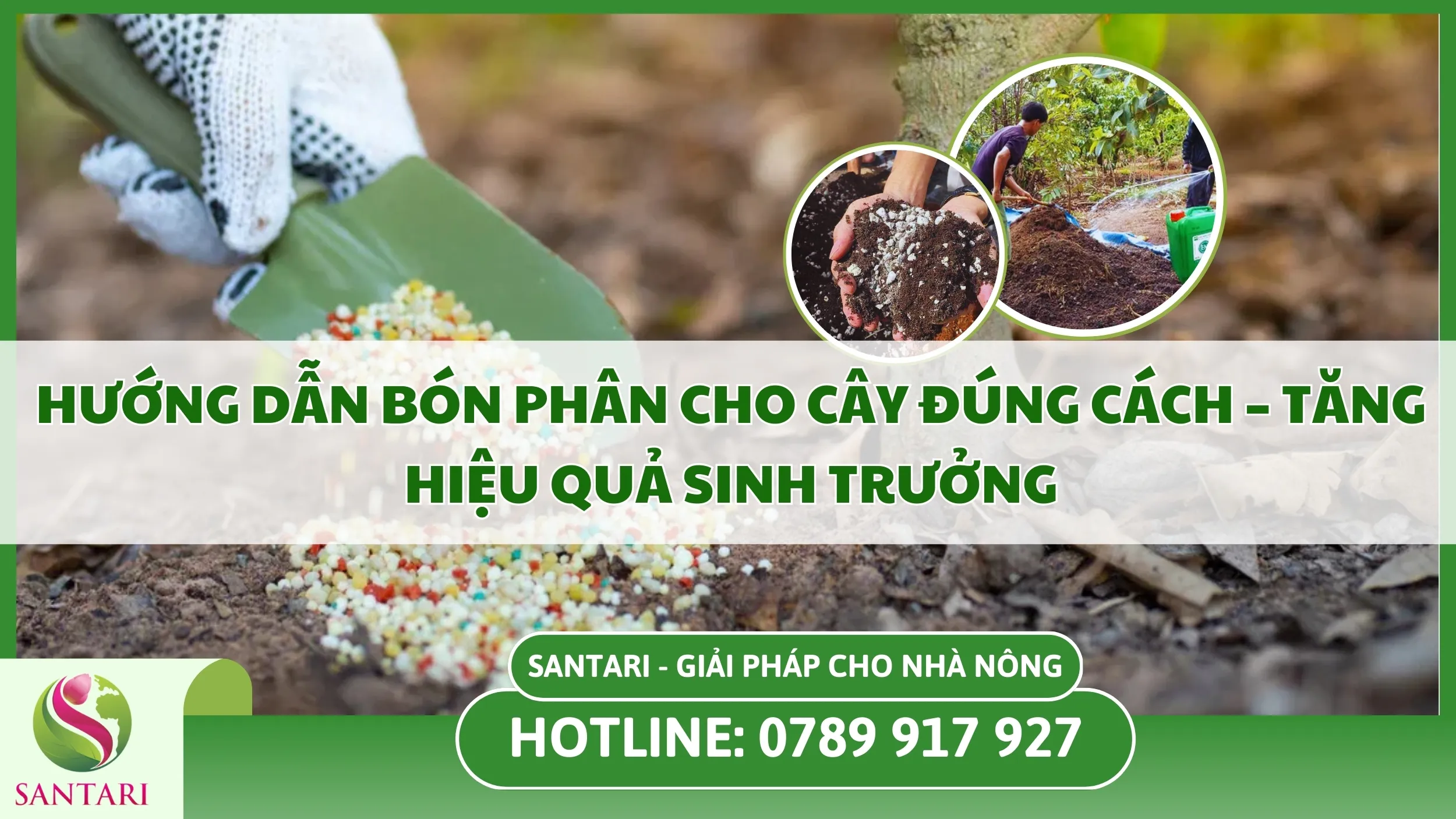 Hướng Dẫn Bón Phân Cho Cây Đúng Cách – Tăng Hiệu Quả Sinh Trưởng