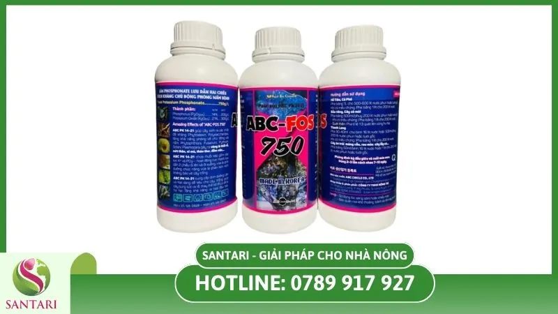 Phân bón ABC PK 14 21 hiệu ABC FOS 750