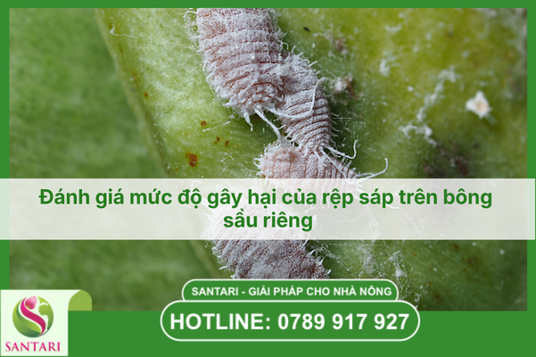  Đánh giá mức độ gây hại và thiệt hại kinh tế thực tế