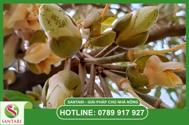 Câu hỏi thường gặp