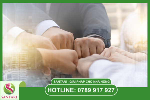 Quy trình vận hành chuẩn (SOP) từ Santari