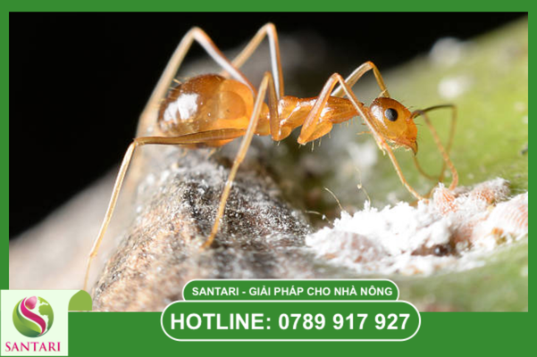 Câu hỏi thường gặp