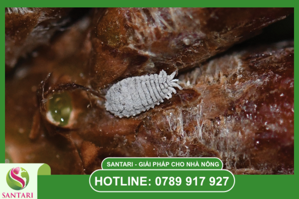 Câu hỏi thường gặp (FAQ)