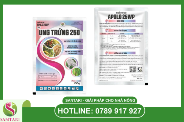  Tại sao Apolo 25WP là ưu tiên hàng đầu của Santari?