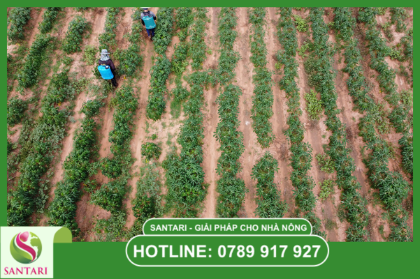 Câu hỏi thường gặp