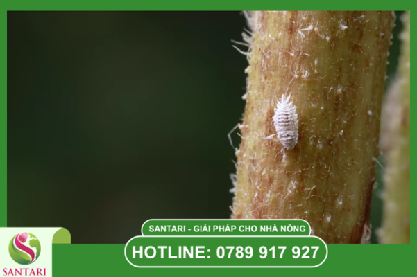 Câu hỏi thường gặ