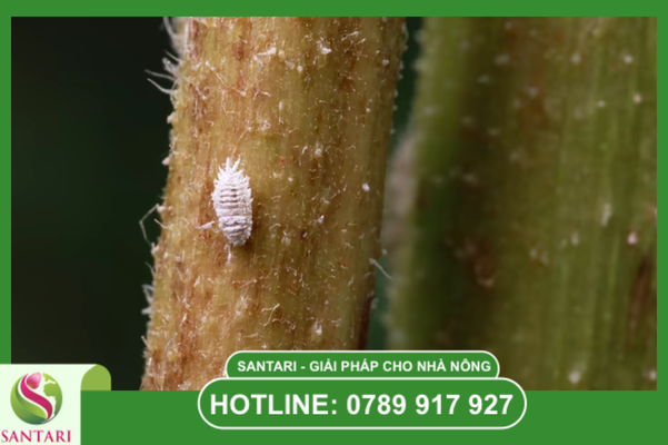  Câu hỏi thường gặp (FAQ)