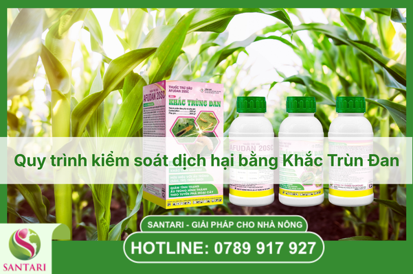 Quy trình kiểm soát dịch hại bằng Khắc Trùng Đan