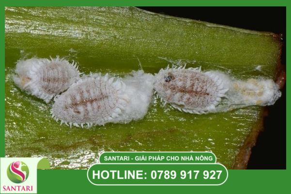 Câu hỏi thường gặp