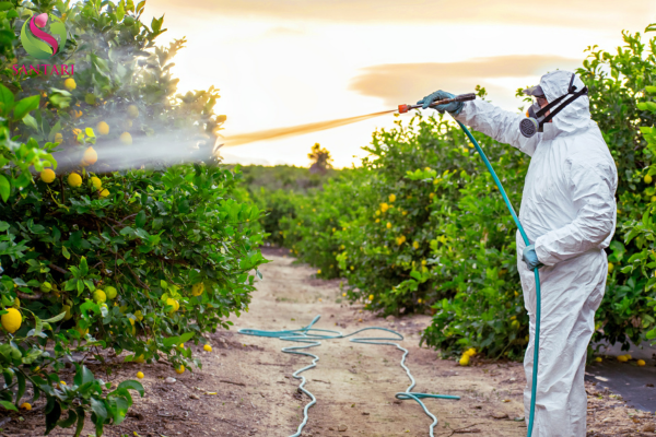  Lưu ý sử dụng và quản lý tính kháng
